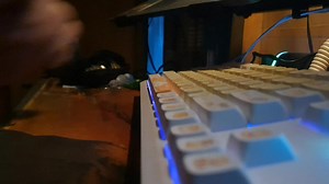 Sound check Gmk87 akko cream blue switch v3 pro #asmr #gmk87 #blueswitch