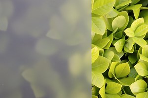 [Hot Item] 8mm Green, Brown, Acid Etched Frosted Glass Patterns for Doors