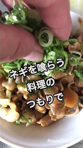 九条ネギが バ◯うまい豚バラ手抜きカレー炒め -ぱりちゃんの平日休み飯-