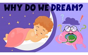 Why Do We Dream？ - Sleep and Dreams： How do they work？ - Learning Junction