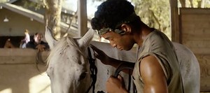 New Trailer for 'Running Wild' Rancher Drama Starring Sharon Stone | FirstShowing.net