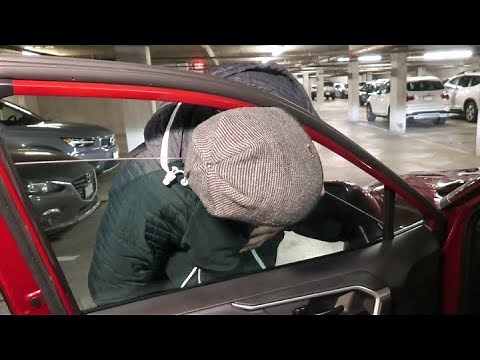 Toyota RAV4 (2019-2024): How Safe Is The Power Window Glass? Anti-Pinch Function.