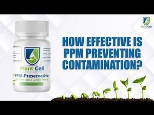 How Effective is PPM? (PPM Demonstration)