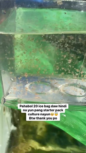 24K views · 148 reactions | Starter pack lang daw pero 20 ice bag 凉﫣ayus yan may pang back up | VinFinity's Lair | Facebook