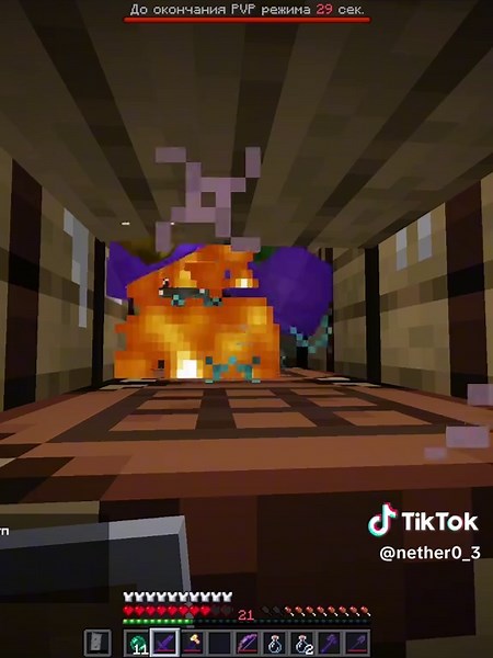 NetherPlay: Exploring Minecraft's Funtime Adventures