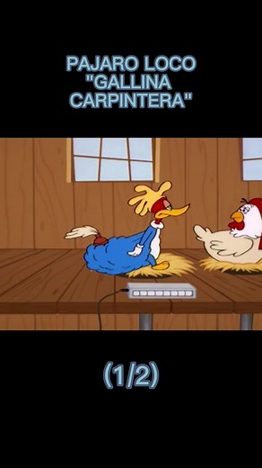 Gallina Carpintera: Aventura Divertida de El Pájaro Loco
