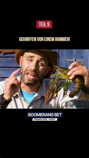 Teil 9 | Gekniffen von einem Hummer! #wildlife #animal #wildanimals #natgeo #animallover