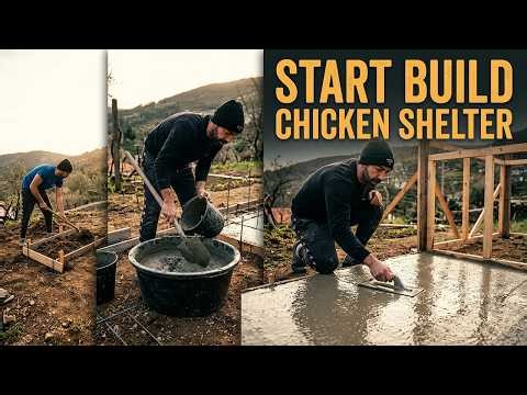 Backyard Farm Build START DIY | Chicken Shelter Construction