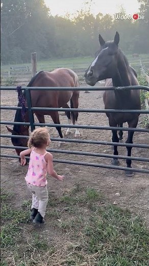 Horse and Toddler Adorable Moment: Heartwarming Dance at the Barn || WooGlobe