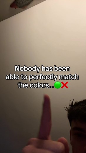 Perfect Color Matching Challenge in Roblox