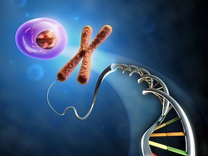 How genes affect our lives