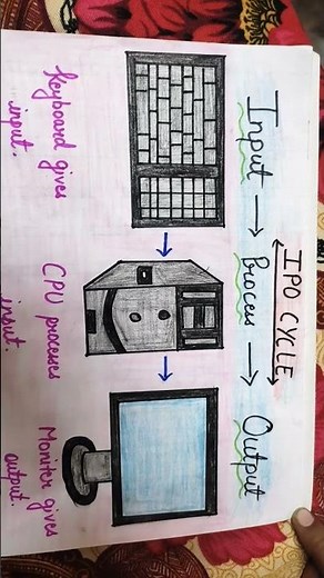 IPO CYCLE / Input / process / Output