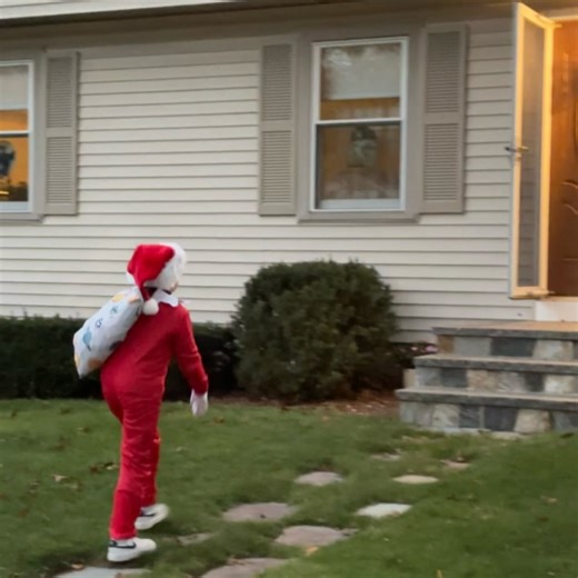 The Mighty Quinn on Reels