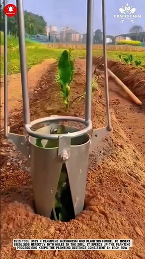 Manual Planting Tool: Fast Seedling Planter for Neatly Lined Fields #smartfarming #gardeningtips