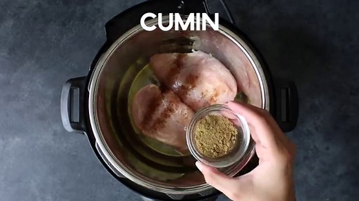 Crispy Chicken Carnitas Recipe | Little Spice Jar