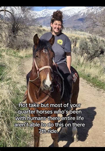 Why Mustangs Excel in Trail Riding Over Quarter Horses