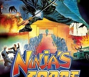 Ninja's Force Summary, Trailer, Cast, Where to Watch and More