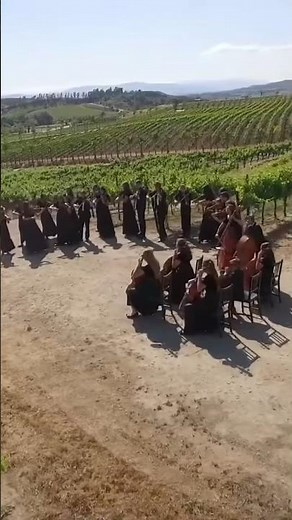 Vivaldi’s “Summer” (violin solo)