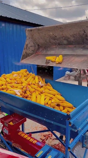 Industrial Platform Conveyor for Bulk Material Handling. #shorts