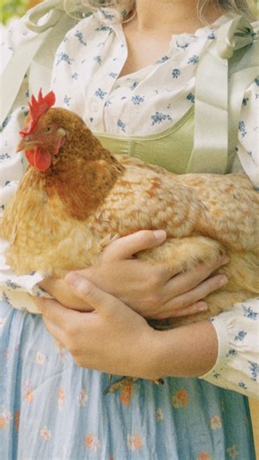 Anna Margaret (Margo!) | It’s time for Chicken Girl Spring!!!! Grab your chickens and put on a crisp white skirt (that definitely won’t get dirty) and let’s play in... | Instagram