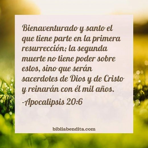 Explicación Apocalipsis 20:6. 'Bienaventurado y santo el que tiene parte en la primera resurrección; la segunda muerte no tiene poder sobre estos, sino que serán sacerdotes de Dios y de Cristo y reinarán con él mil años.' - BibliaBendita