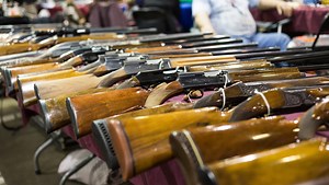 Rifle, shotgun background check bill back before Maryland legislators