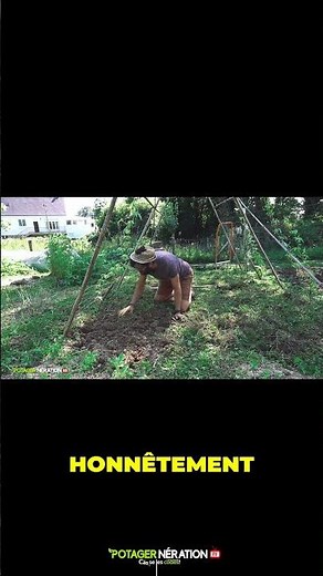 🥬 Beginner Vegetable Garden: 3 ESSENTIAL TIPS to Get Off to a Good Start!