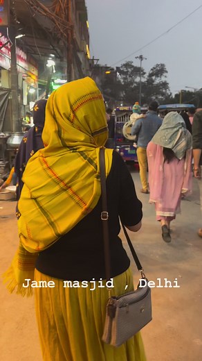 24K views · 179 reactions | Jame masjid area, Delhi | কুমুদিনীর বসন -Kumudinir Boson | Facebook