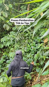 Proses Pembersihan Rumput dari Permukaan Batu. Rahayu..🪨🔍 #KontenPedesaan #SejarahDesaKarangjambu #CandiGaluhPurba #KerajaanGaluh #WisataAlam | Arif Hidayat