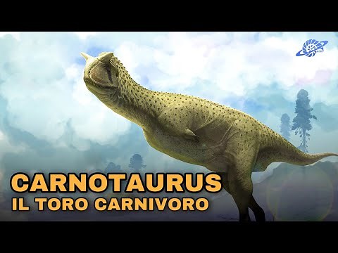 CARNOTAURUS: The Carnivorous Bull
