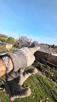 Solar field installation, 45 panels initially 👌👌👌