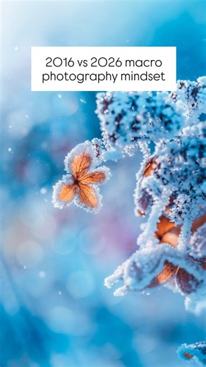 From macro skeptic to a dedicated macro account 🙂‍↕️✨🐝 I used to think the 18-200mm lens on my DSLR in 2016 was enough to photograph everything I needed. Until I tried out a macro lens and fell in love with the unseen beauty in macro photography - the small details, isolated subjects and invisible things made huge through my macro lens is truly a special feeling ✨ #macrophotography #naturephotography #flowerphotography #SonyAlpha #MadeWithLightroom #MadeWithPhotoshop | Macro Viewpoint