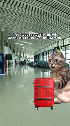 4.3K views | Kui teeskled üllatust, kuigi tead, et pool riidekappi on kaasa pakitud... 麟 Iga lisakilo = parem tuju puhkusel! ☀️ https://bit.ly/coraltravel-ee #coraltravel #puhkus #tallinn #estonia #vacation | Coral Travel Estonia | Facebook