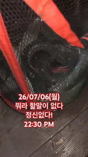 뭐라고 할말이 없다 #대명낚시터 #낚시터 #낚시 #향어 #메기 #장어 #철갑상어 #붕어 #붕어채비 #붕어입질 #향어입질 #메기입질 #가지채비 #송어낚시 #매운탕 #메시매운탕