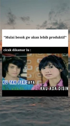 🦎 : udah yapping nya? #shorts #meme #adiaava