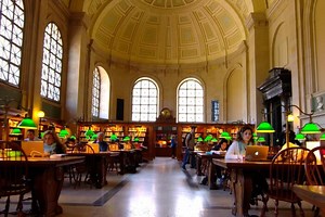 Free For All: The Public Library