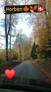 Hans-Peter Bruder on Reels