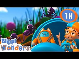 Marching Ants! 🐜 | Blippi Wonders Educational Videos for Kids