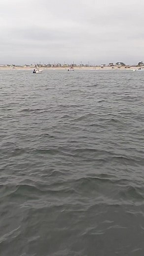 3K views · 20 reactions | Capt Jim has 2 spots open this Tuesday 11/25 Open Boat $250/person plus tip for mate. Leaving dock Point Beach Yacht Club 6:30am. Give him a call or text 732-762-0870. | Shore Catch Guide Service | Facebook