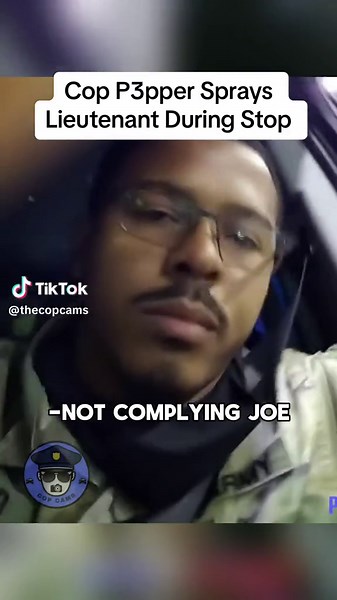 Cop Pepper Sprays Lieutenant During Traffic Stop