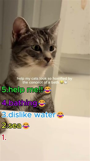 Top 5 Funniest Pet Clips Ever Caught on Camera 😂 #Shorts