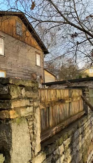 Kalma romantika Kunglas | Sven Svenson