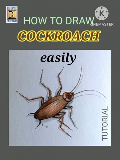 How to Draw a cockroach easily 🪳easy Steps to Draw a Realistic Cockroach#dharmen Creative#yt shorts