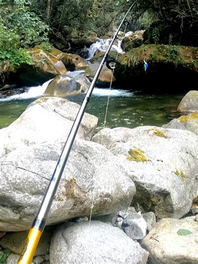Pesca de Trucha Arcoiris en el Río