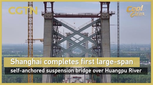 Shanghai completes first large-span self-anchored suspension bridge over Huangpu River