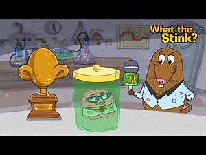 The Science of Stinks - What The Stink?