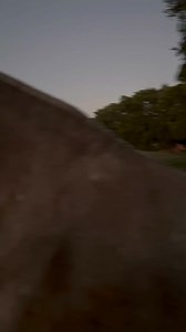 2.4K views · 70 reactions | Youre fat man | Everything Horse | Facebook