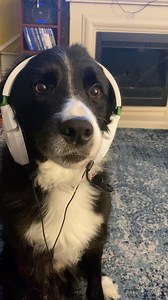 248K views · 13K reactions | Old but gold as many of you would say! | TeamCasp47 | Facebook