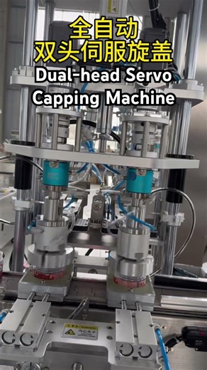 Dual-head servo capping machine