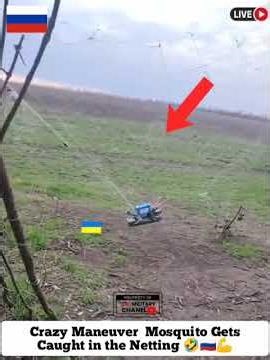 Crazy Fight Drift Netting Maneuvers Of A Little mosquito At Close #shortvideo